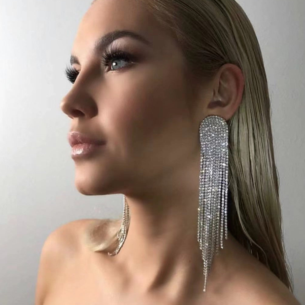 Sparkling Zircon Long Earrings