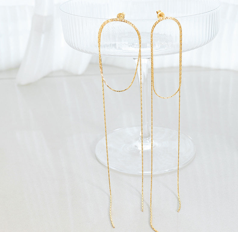 Noble and Exquisite Long Chain Tassel Design Light Luxury Earrings